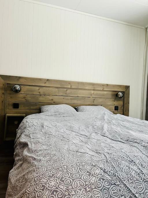Skjomen Lodge Elvegard المظهر الخارجي الصورة