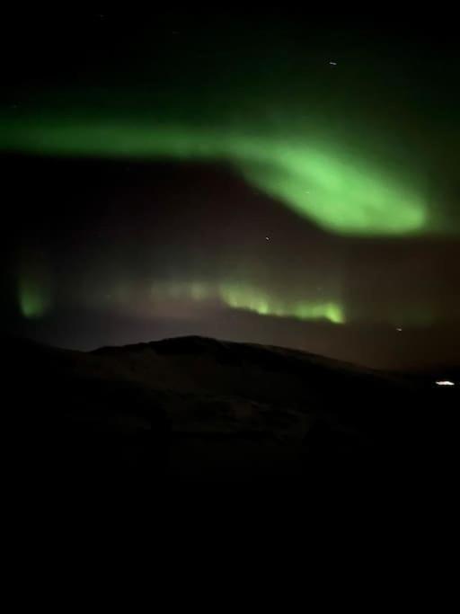 Skjomen Lodge Elvegard المظهر الخارجي الصورة